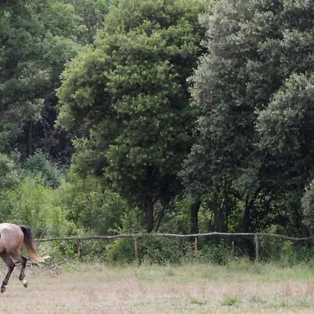 Mon Perin Castrum - Ivan Apartment Bale